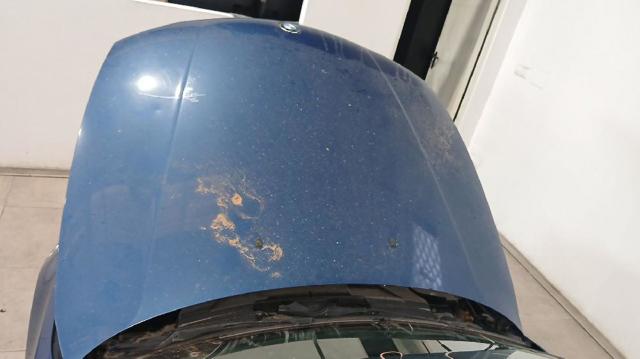 Capó del motor BMW 1 E81