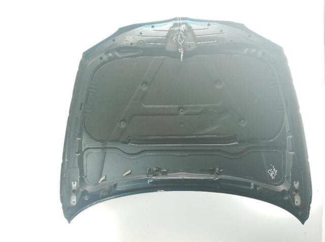 Capó del motor BMW 1 E81