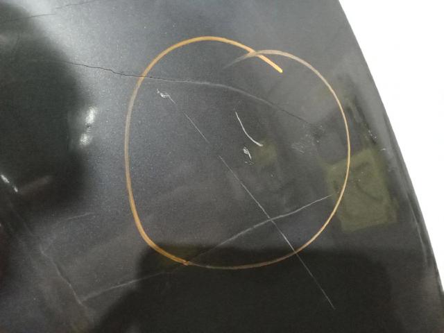 Capó del motor BMW 1 E81