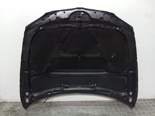 Capó del motor BMW 1 E81
