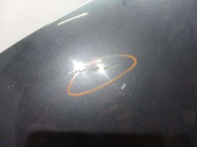 Capó del motor BMW 1 E81