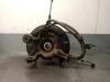 Muñón de eje, cuerpo del eje, trasero izquierdo  4230448031 TOYOTA