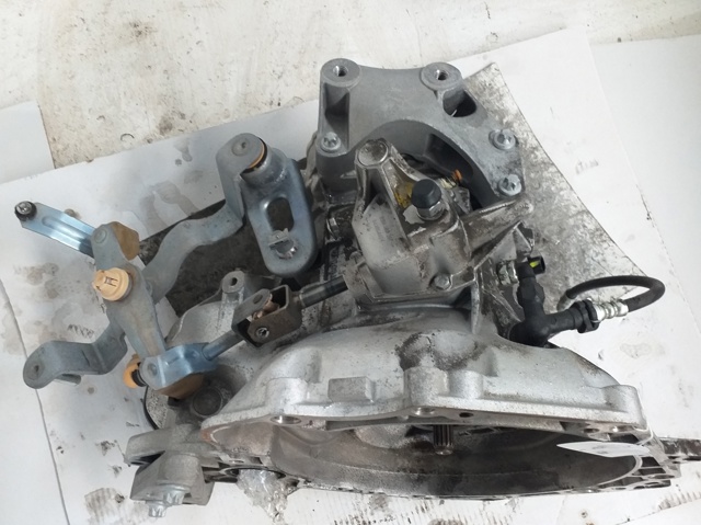 428744098 Opel