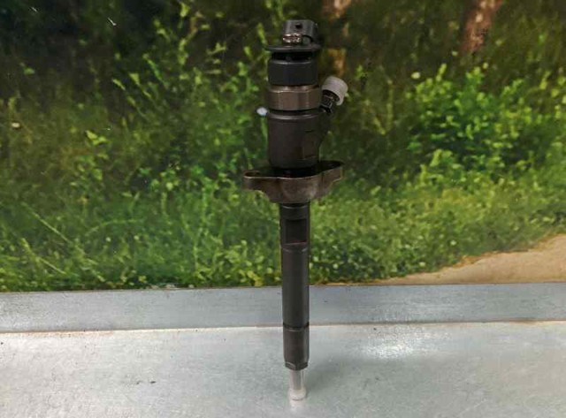 445110297 PEUGEOT Inyector de combustible  comprar en Jaén