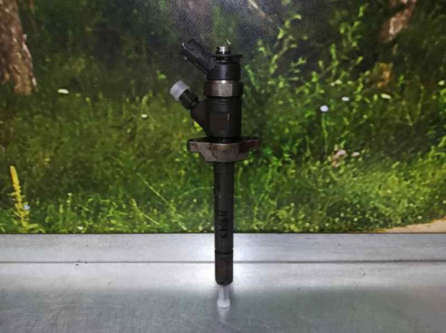 445110297 Inyector comprar Girona