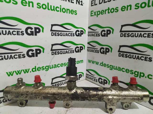 445224009 Peugeot/Citroen