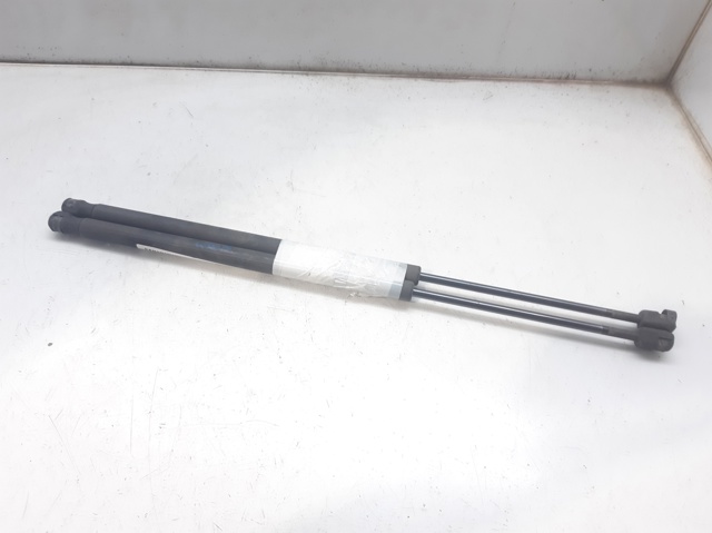 Amortiguador de maletero Peugeot 607 desde 16,47 €