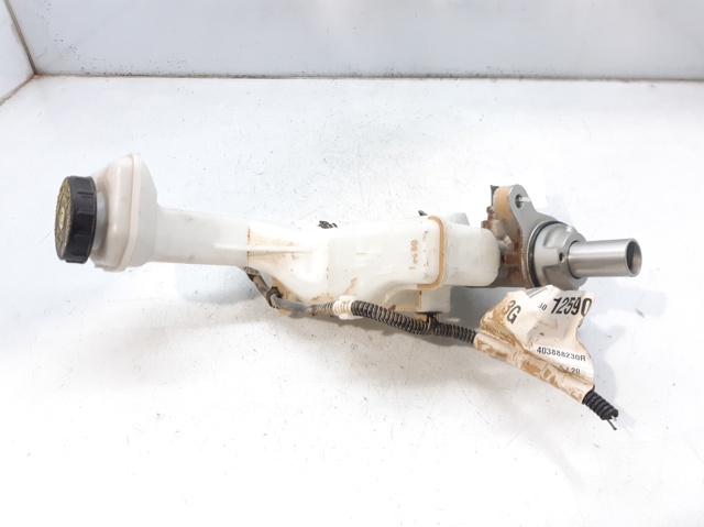 460116191R Renault (RVI)