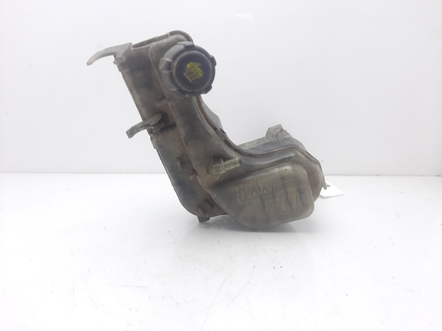 460910005R Renault (RVI)
