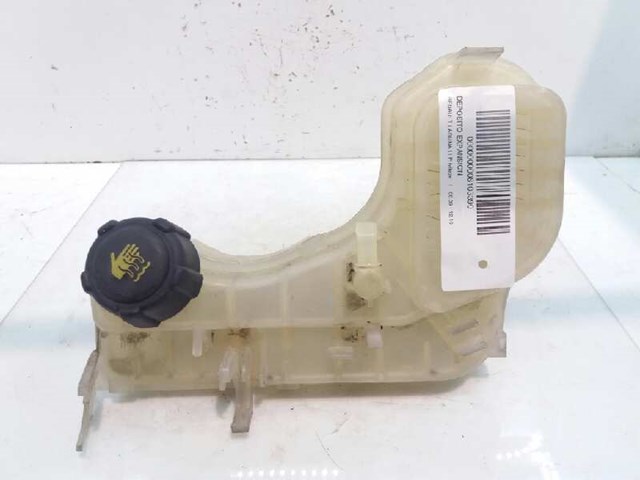 460910005R Renault (RVI)