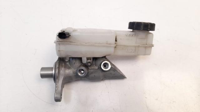 460910009R Renault (RVI)
