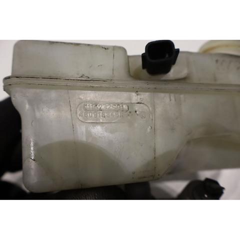 460916346R Depósito del líquido de frenos del cilindro maestro  disponible Burgos