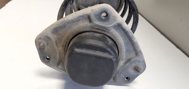 Amortiguador delantero 46407181 FIAT
