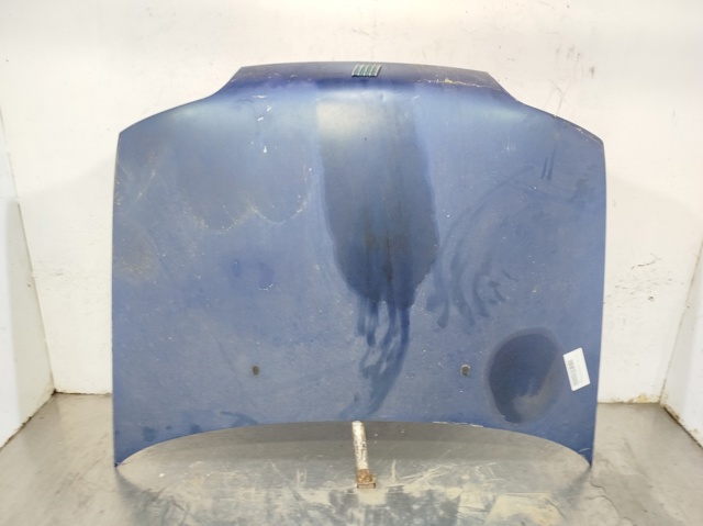 Capó para Fiat Punto 176C