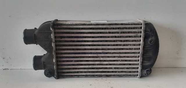 Radiador de aire, intercooler Fiat Brava (182)