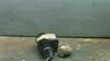 Clausor 46543447 FIAT