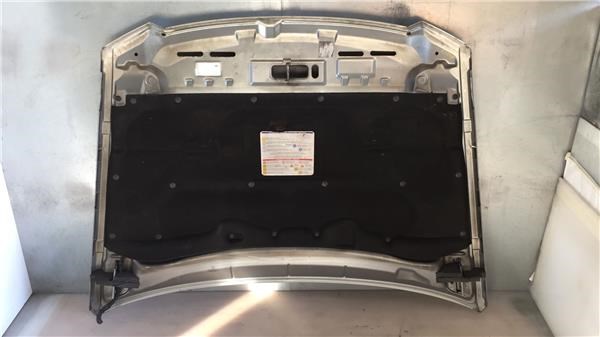 FIAT 46754159 Capó  en stock Salamanca