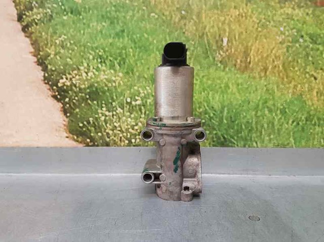 Válvula, AGR Fiat Bravo 1 182