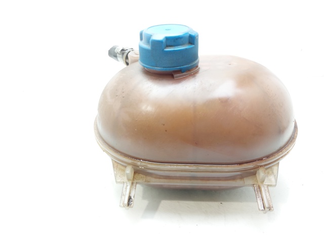 Botella de refrigeración Fiat 500 312
