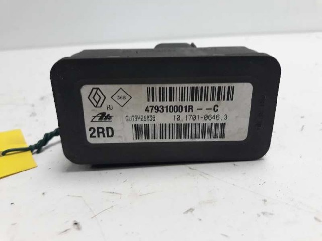 479310001R Renault (RVI)