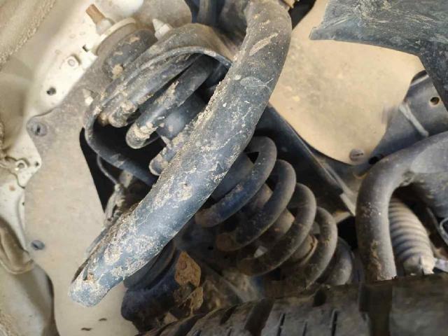 485108Z207 Toyota