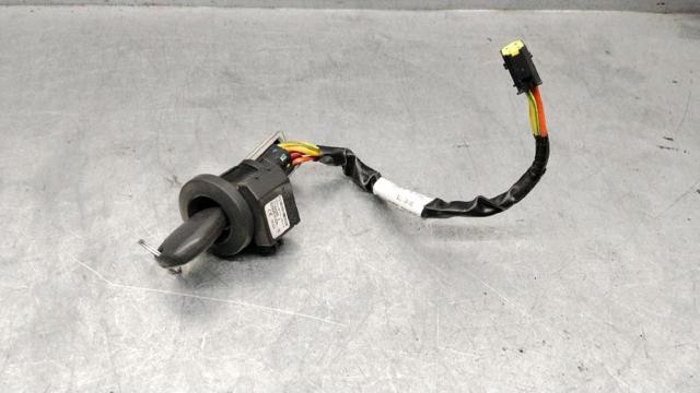 487002447R Renault (RVI)