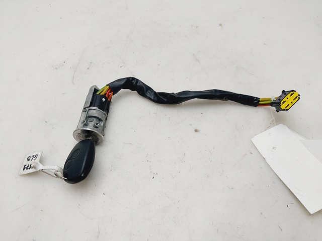 487004353R Renault (RVI)