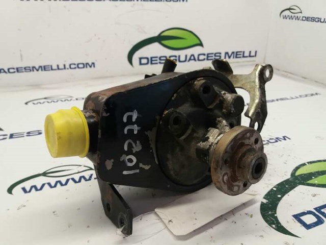 491100699R Renault (RVI)