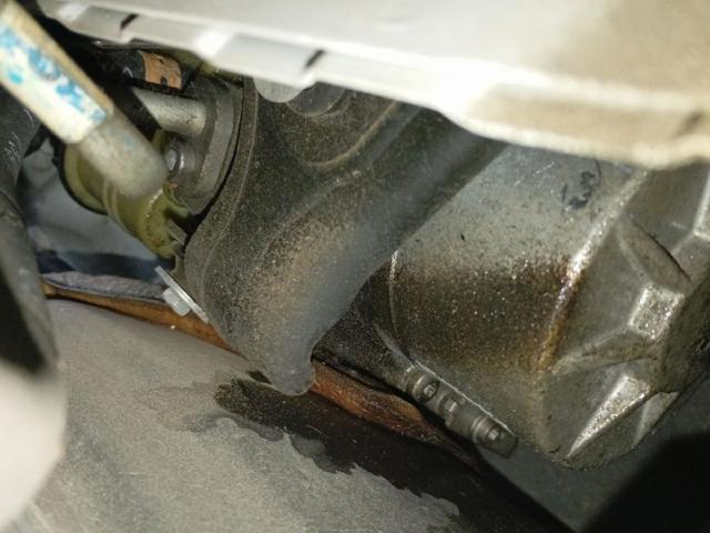 491101351R Renault (RVI)
