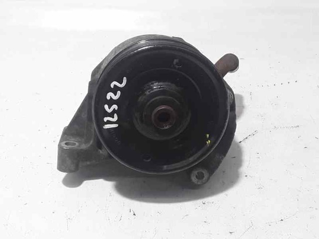 491103097R Renault (RVI)