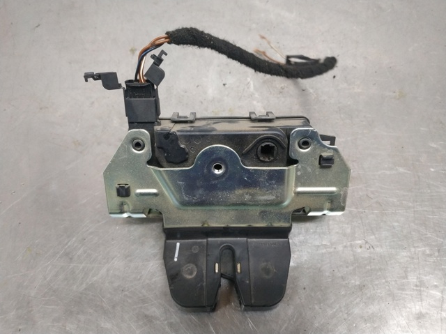 495058724 Opel