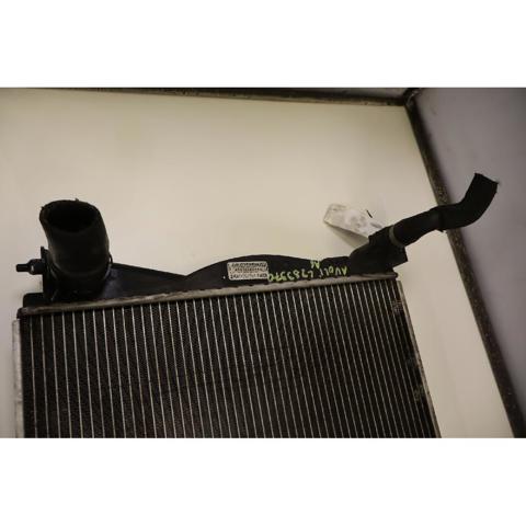 VAG 4F0121251AG Radiador de refrigeración del motor  comprar en Ponferrada