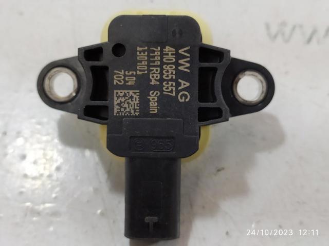 4H0955557 VAG