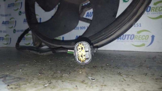 PEUGEOT 4HW Motor completo  comprar en Albacete