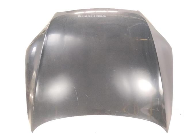 Capot Audi Q7  (4LB)