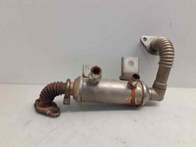 4M5Q9F464BC Ford