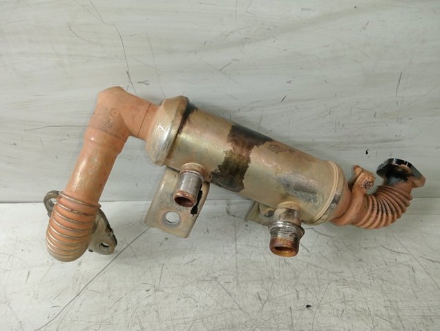 4M5Q9F464BC Ford