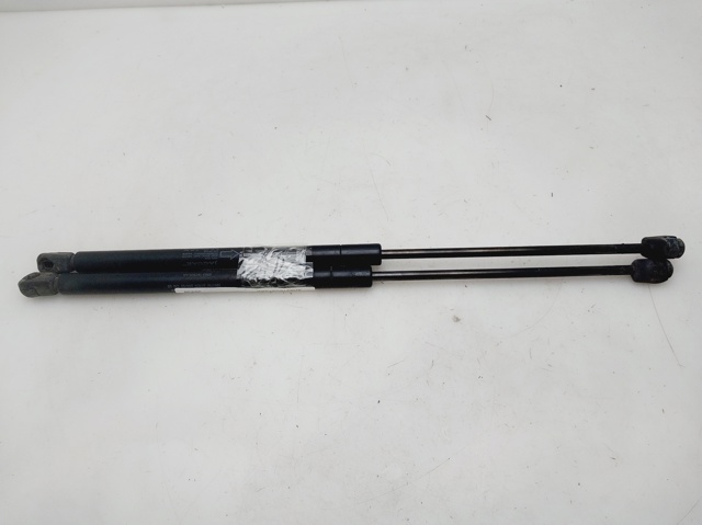 Comprar Amortiguador de capó S-type  CCX