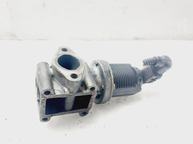 50024005 Fiat/Alfa/Lancia