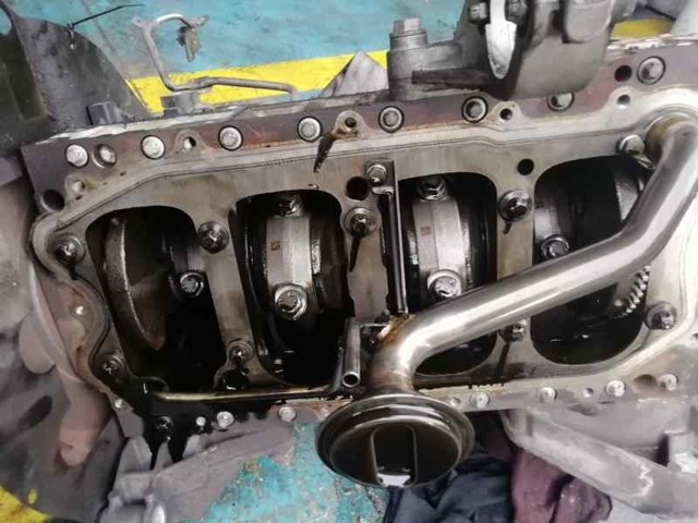 504017281 Fiat/Alfa/Lancia