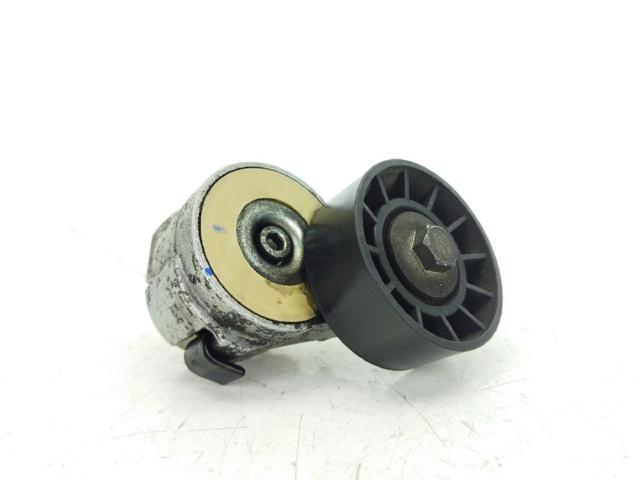 Comprar Tensor de correa poli V  Ducato III 250