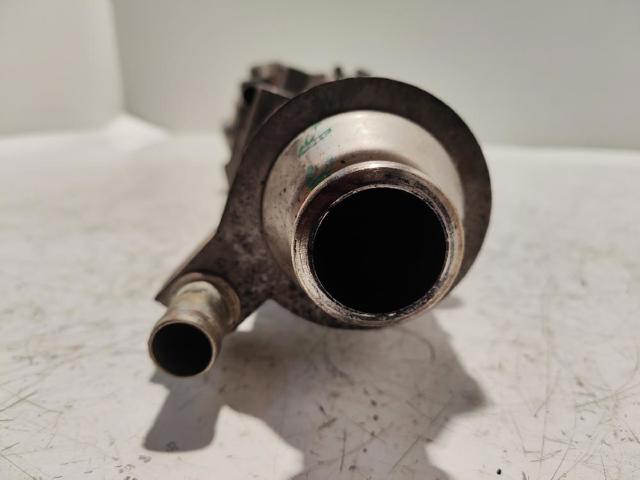 504136967 Enfriador de recirculación de gases de escape EGR  disponible Burgos
