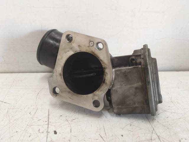 504264089 Iveco