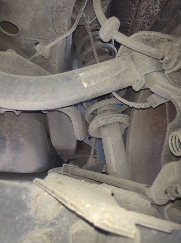 Amortiguadores traseros 50515184 FIAT