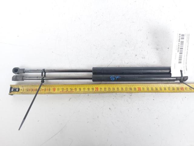 50519970 Amortiguador de capó  disponible Utrera