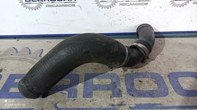 Manguera de radiador arriba 50520266 FIAT