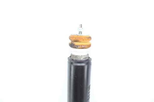 50523980 FIAT Amortiguador trasero  en stock Córdoba