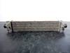 Intercooler 50532811 FIAT