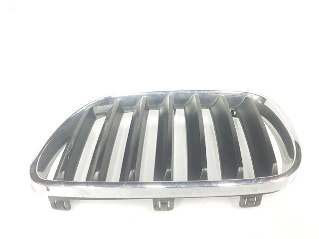 Panal de radiador izquierda 51113420087 BMW