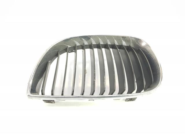 Panal de radiador izquierda 51137077129 BMW